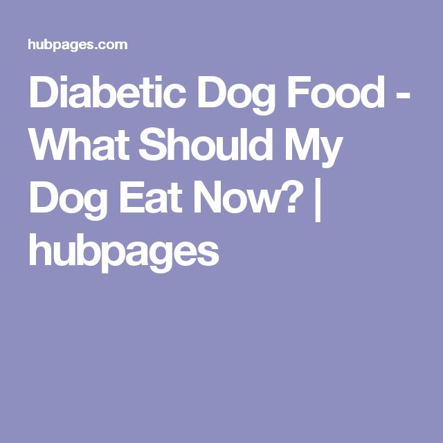 what-can-my-diabetic-dog-eat-diabetesprohelp